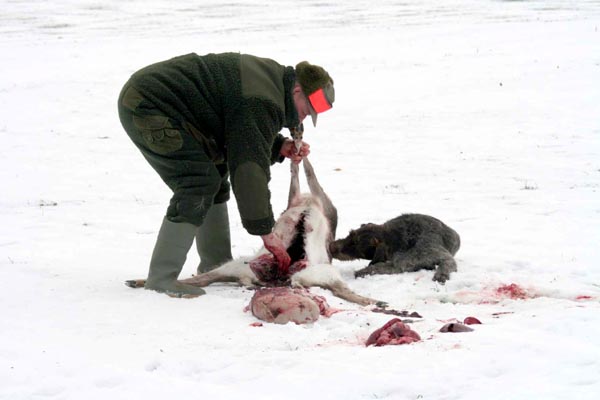 Killikus&reg; Fotographie